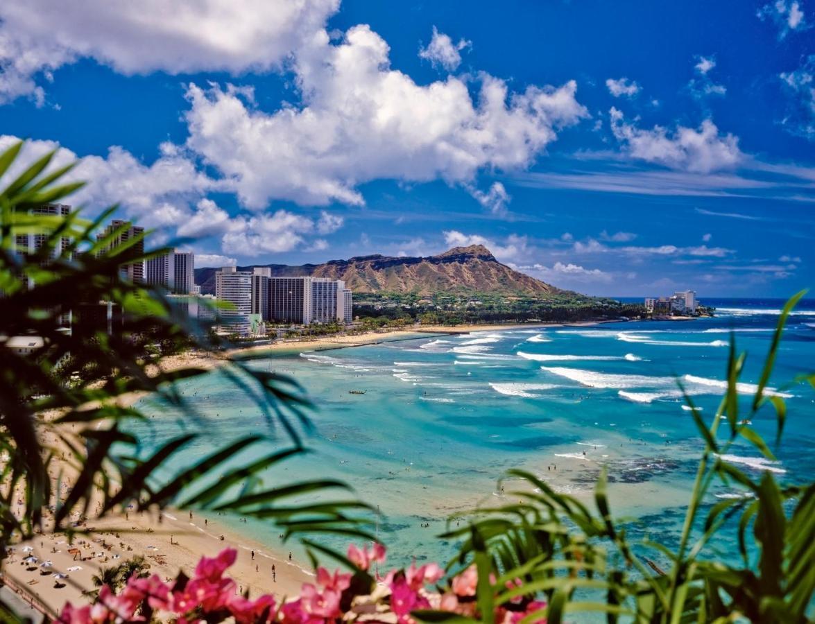 Diamond Head Views Retreat With Free Parking & Near Waikiki Beach! Honolulu Ngoại thất bức ảnh
