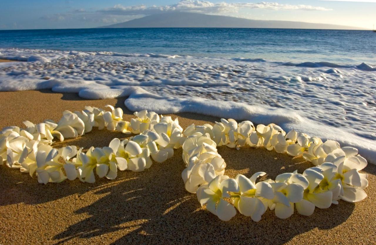 Diamond Head Views Retreat With Free Parking & Near Waikiki Beach! Honolulu Ngoại thất bức ảnh