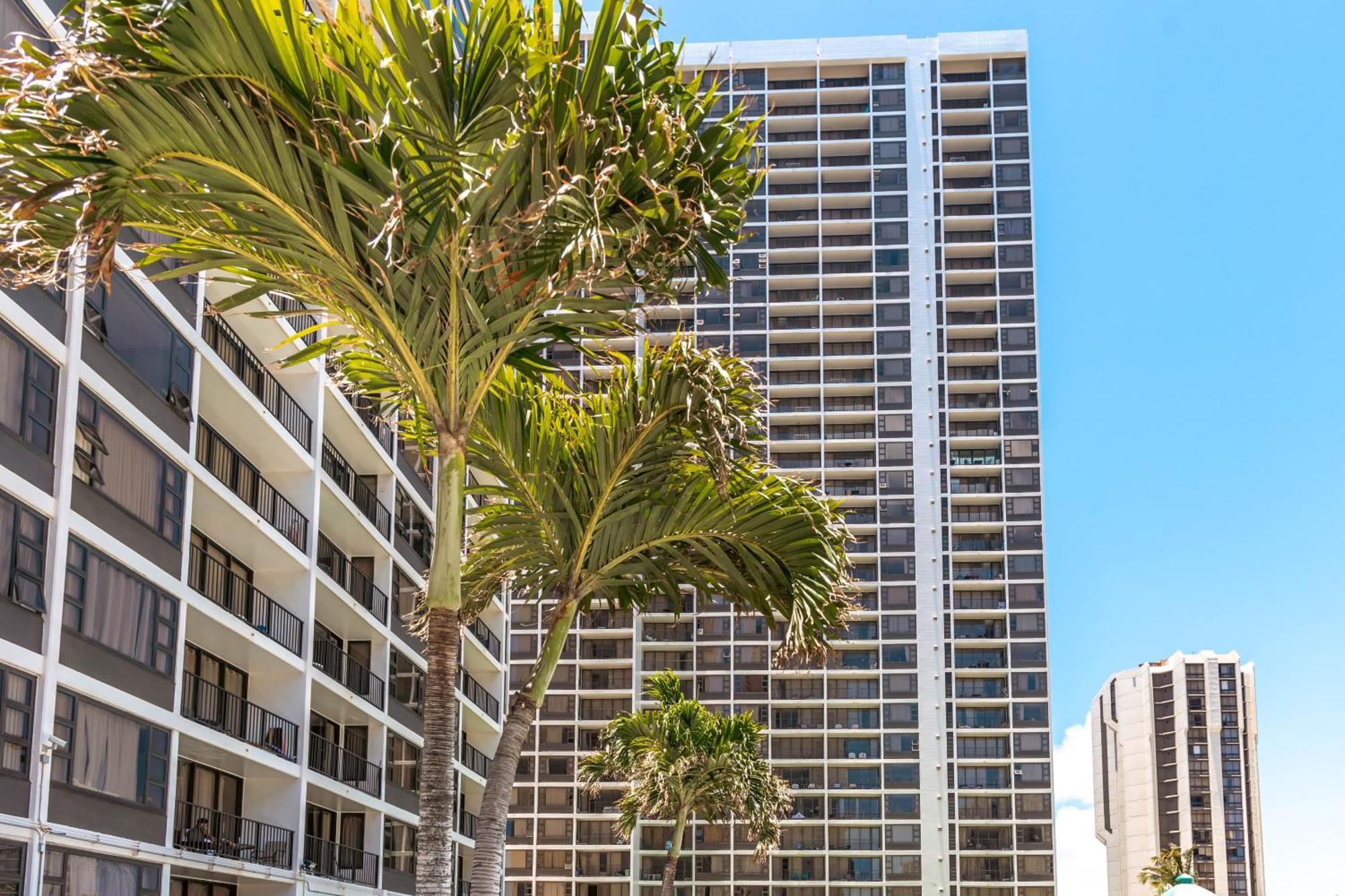 Diamond Head Views Retreat With Free Parking & Near Waikiki Beach! Honolulu Ngoại thất bức ảnh