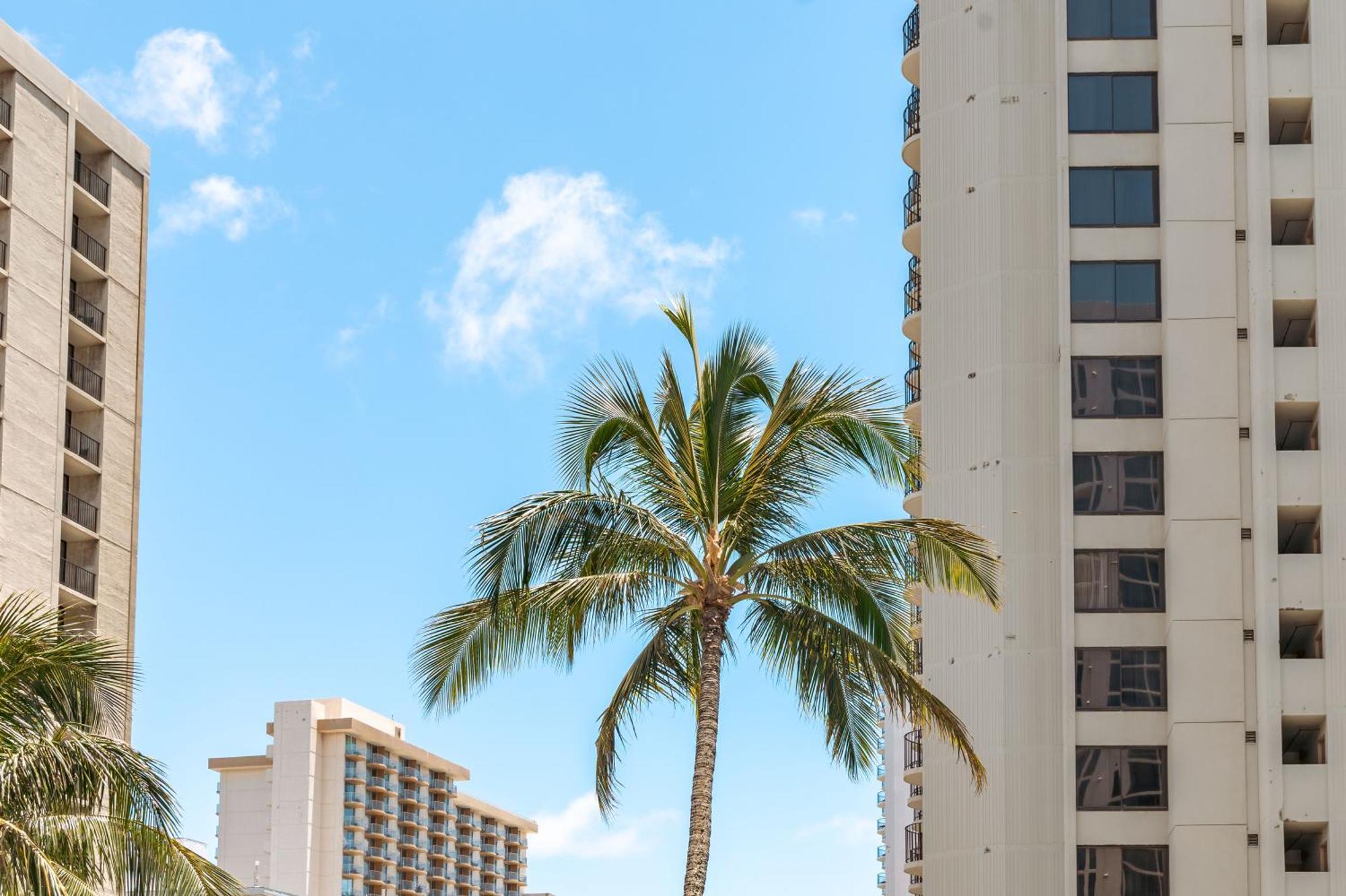 Diamond Head Views Retreat With Free Parking & Near Waikiki Beach! Honolulu Ngoại thất bức ảnh